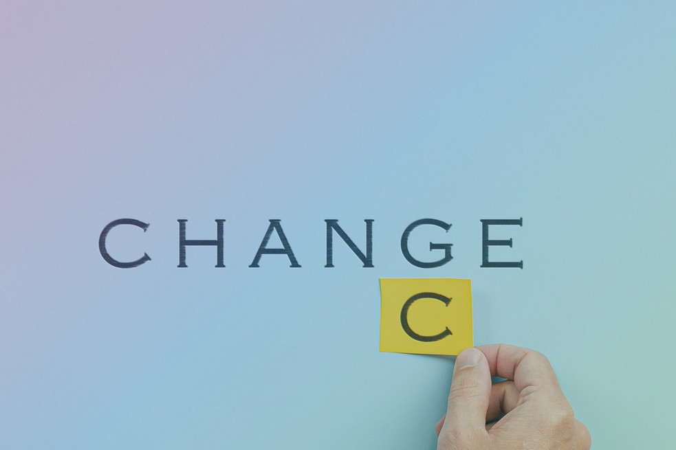 pulsnetz Changemanagement
